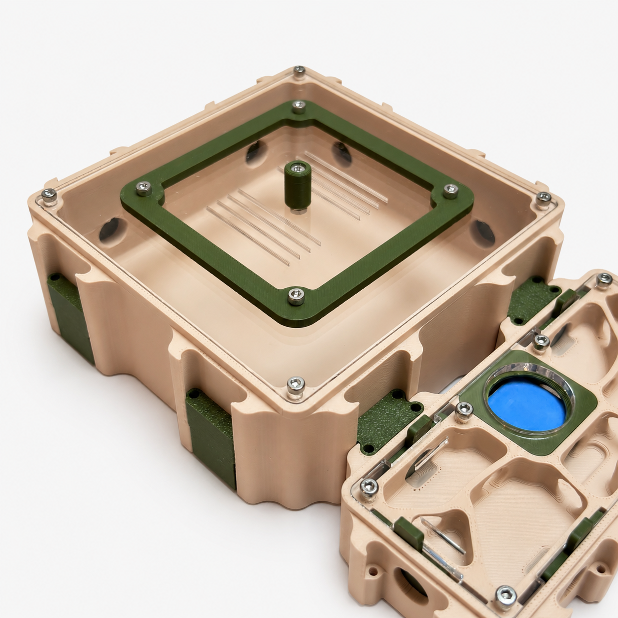 Aire de chasse M Nexus vue de côté – Formicarium modulaire AntWorld
