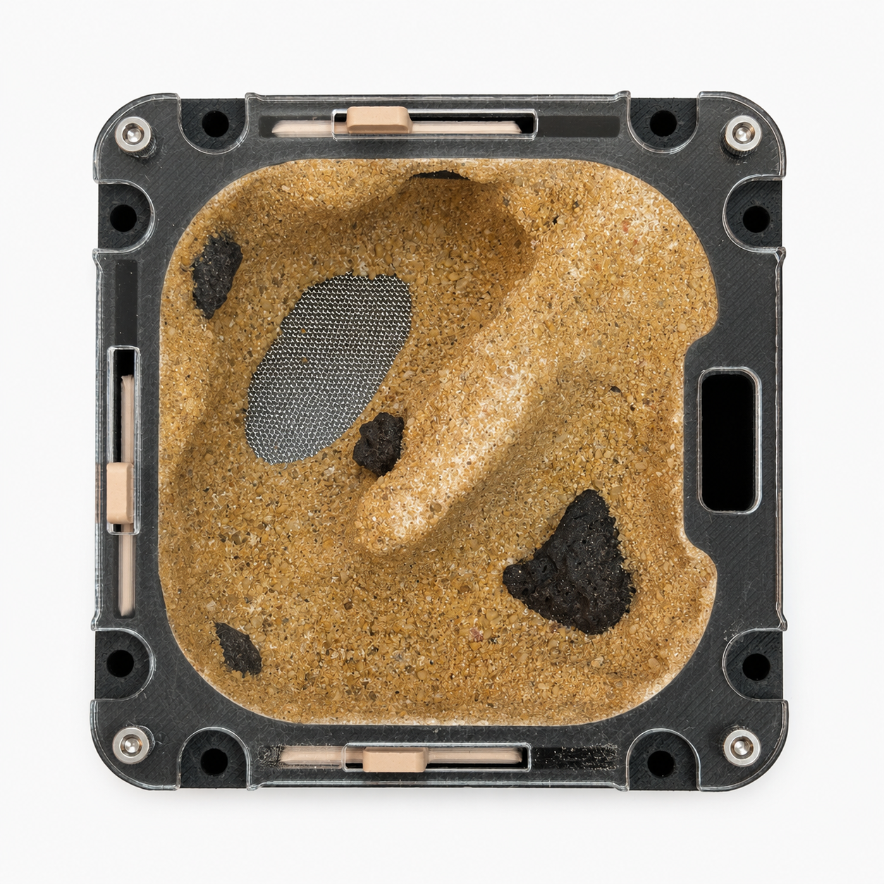 Module XS Évaporation ouvert – Système évaporation passive ponérines AntWorld