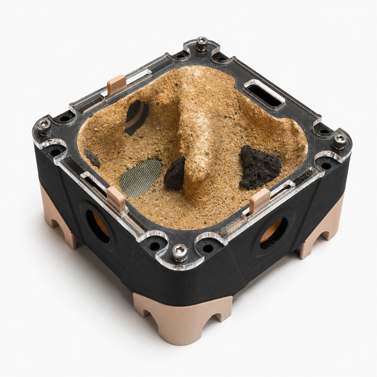 Module XS Évaporation Primitif – Nid ponérines humidité passive AntWorld