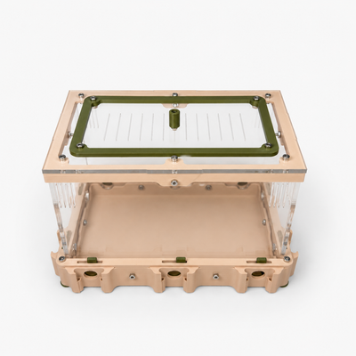 Aire de chasse L-A – Grand espace de nourrissage pour fourmis, gamme Nexus AntWorld