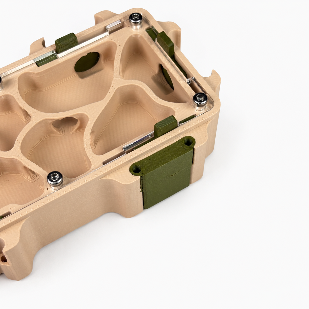 Bouchon Nexus vue de face – Sécurisation ouvertures formicarium AntWorld