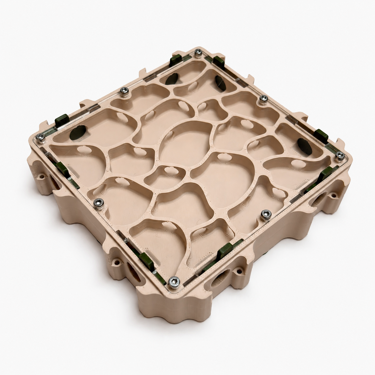 Module M Dryx Nexus – Formicarium sec colonies moyennes fourmis AntWorld