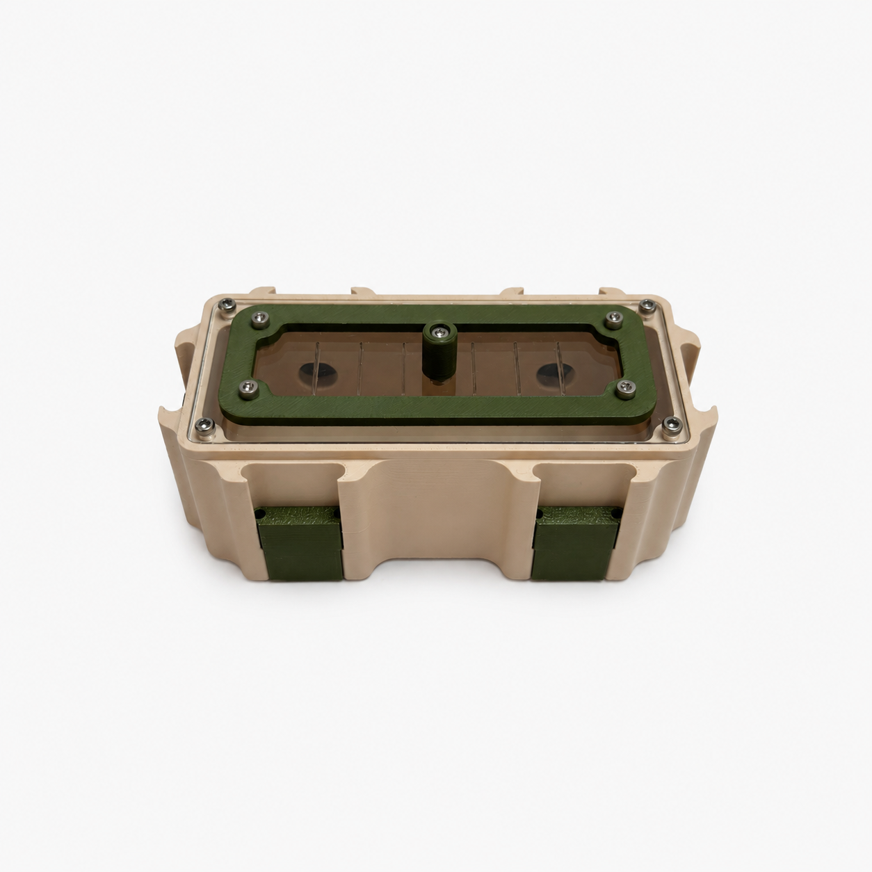 Aire de chasse S compacte pour fondations de fourmis – Gamme Nexus AntWorld