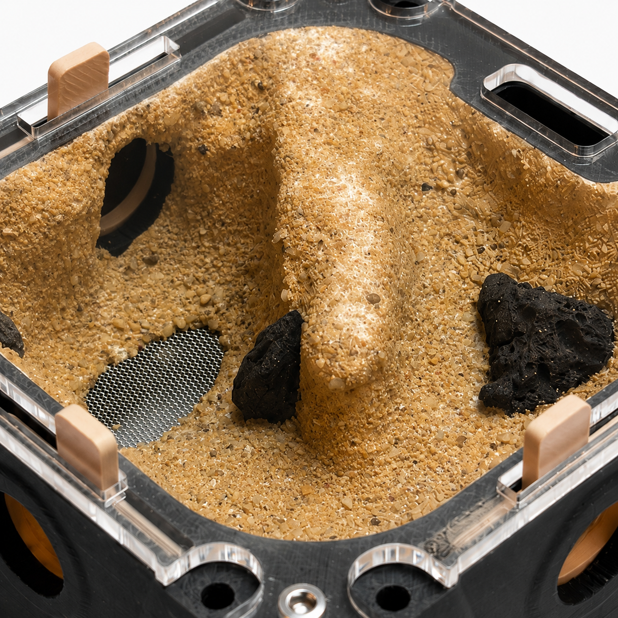 Module XS Évaporation détail – Formicarium ponérines gamme Primitif AntWorld