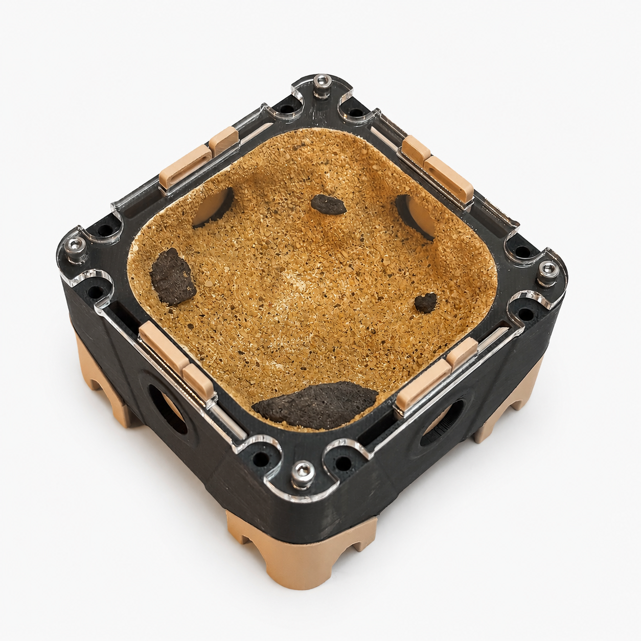 Module XS Sec Primitif – Nid ponérines environnement aride AntWorld