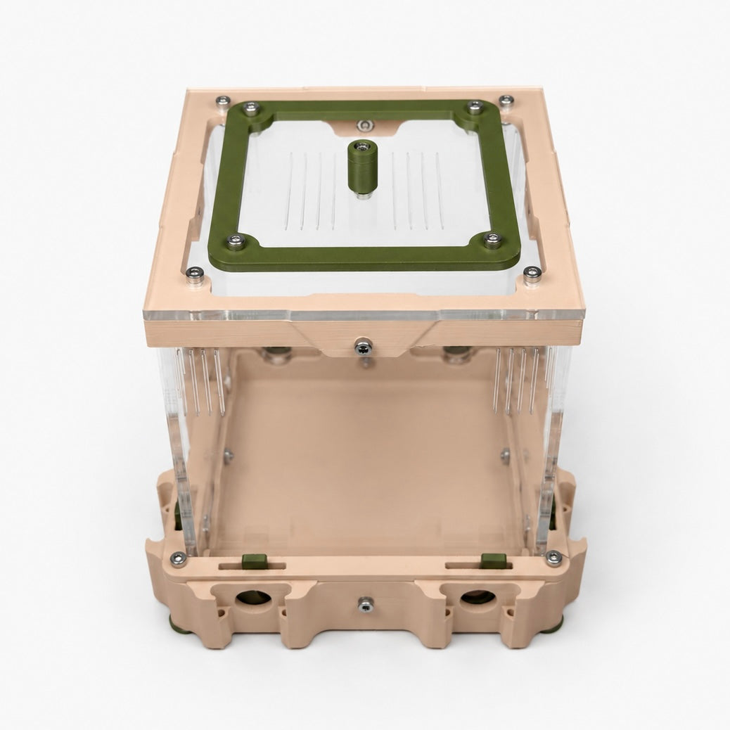 Aire de chasse M-A – Espace de nourrissage modulaire pour fourmis Nexus AntWorld